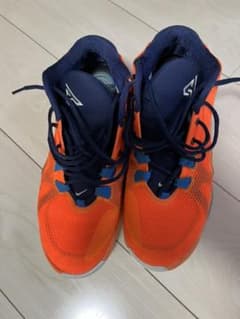 NIKE zoom freak1 ズームフリーク1 29.0㎝のサムネイル