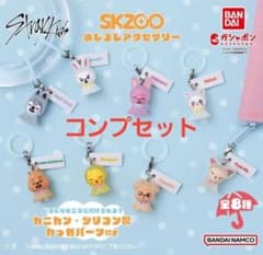 Stray Kids SKZOO めじるしアクセサリー コンプセット 初期 - メルカリ
