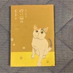 拾い猫のモチャのサムネイル