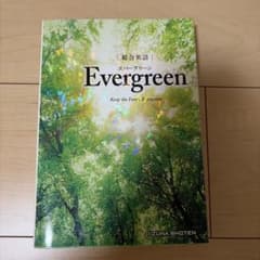 総合英語 Evergreen 英文法 学習参考書のサムネイル