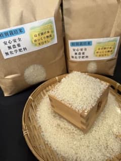 美味しい白米5キロ】農薬化学肥料不使用 はざ掛け天日干し コシヒカリ