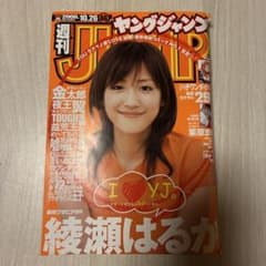 週刊ヤングサンデー 46号 綾瀬はるか ヤングジャンプ 2006年46号 綾瀬はるか サラリーマン金太郎 最終