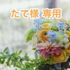 たて様専用のサムネイル