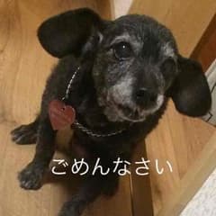 みるく☆さま 専用  保育士試験 臨時講座テキストのサムネイル