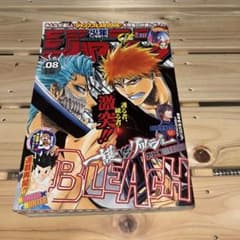 週刊少年ジャンプ 2006年 8号 BLEACH表紙 ハンターハンター連載再開