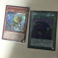 遊戯王 捕食植物サンデウキンジーのサムネイル