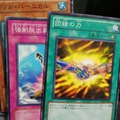 林さん専用のサムネイル