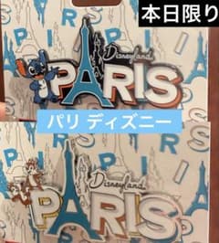 パリ ディズニー 限定 ピンバッジ スティッチ チップ デール グッズ