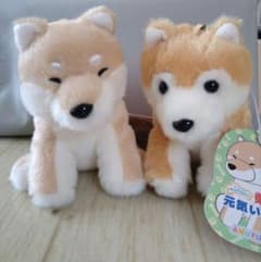 柴犬 くったり柴犬元気いっぱい ぬいぐるみ マスコット - メルカリ