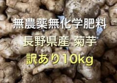 【週末特別価格】菊芋 長野県産 無農薬　訳あり　10kgのサムネイル