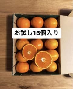 おばあちゃんのみかん〜お試し15個入り〜のサムネイル