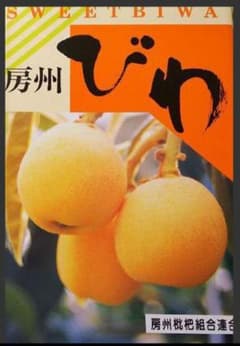 南房総産 【房州びわ】大粒 ３L玉 12個入り☆のサムネイル