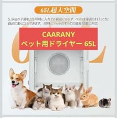 CAARANY ペット用ドライヤー 65L 大容量 静音 消毒/除菌機能付きのサムネイル