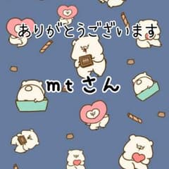 mtさん確認用ページのサムネイル