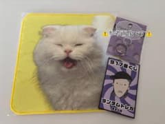 Royz 삼나무 917번 복권 미니 타월 개운 칠복 흰색 고양이①