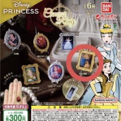 Disney Princess Canvas Ring 미녀와 야수