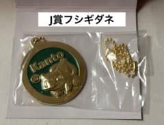 포켓몬 이치 반 쿠지 J상 30주년 기념 메탈 매력 칸토 지방 후시기다네