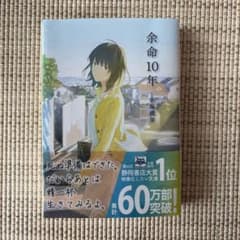 余命10年 小坂流加 文芸社文庫のサムネイル
