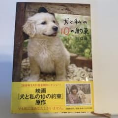 犬と私の１０の約束のサムネイル