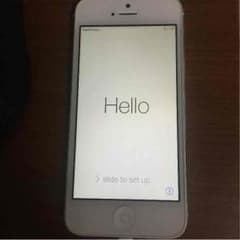 iPhone 5 16G 美品 やしの木様専用のサムネイル
