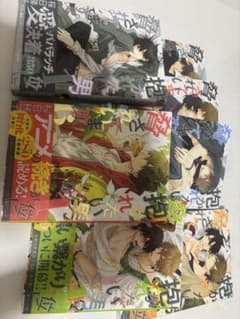 抱かれたい男1位に脅されています。 桜日梯子 BL漫画セットのサムネイル