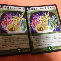 爆進イントゥザワイルドのサムネイル