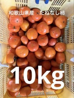 【農家直送】和歌山県産たねなし柿　訳あり　10kg （箱込）　中谷早生　刀根早生のサムネイル