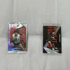 バレーボール ウエハース トレーディングカード 小川智大のサムネイル