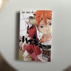 ハイキュー　33.5のサムネイル