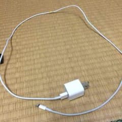 iPhone5sの充電器のサムネイル