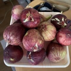 いちちく味噌飴専用ですのサムネイル