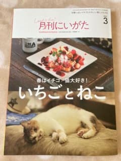 月刊にいがた2021.3月号のサムネイル