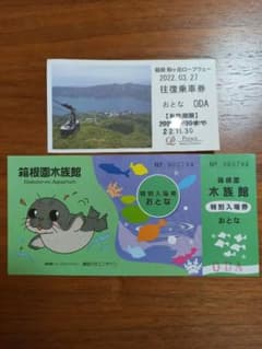 箱根園水族館　駒ヶ岳ロープウェー往復乗車券　各大人1名分のサムネイル