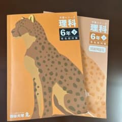四谷大塚　理科6年下　予習シリーズ 四谷大塚 予習シリーズ 理科 6年下 有名校対策 - メルカリ