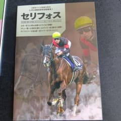 ローズキングダムスタッフジャンパー非売品|mercariメルカリ官方指定 