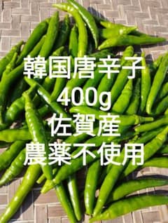 韓国唐辛子400g 佐賀産 農薬不使用 ネコポスのサムネイル