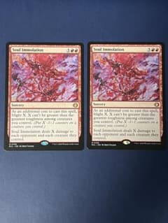 【mtg】魂の焼身 英語版2枚 ローウィンの昏明 ECL