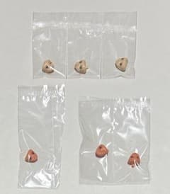 フレームアームズ・ガール レティシア Silver Ver. フェイスパーツのみ