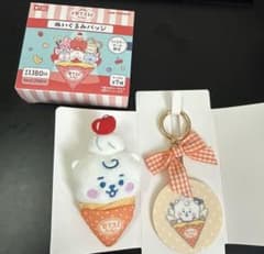 BT21 봉제 장난감 배지 아크릴 키링 RJ