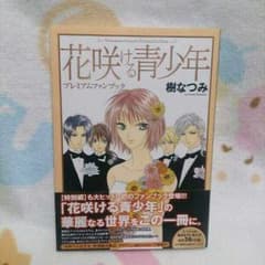 【即購入可】花咲ける青少年プレミアムファンブックのサムネイル