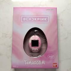 BTS ソウルコン ARIRANG フーディー Lサイズ ソウル限定|mercari