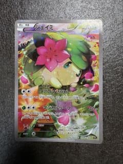 シェイミ CP5 004/036 - メルカリ