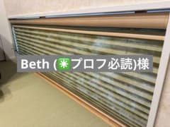 ニトリ ニチベイ プリーツスクリーン もなみ ツインスタイル ループ