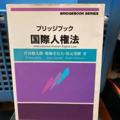 ブリッジブック国際人権法のサムネイル