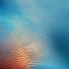 ねるねる様専用のサムネイル