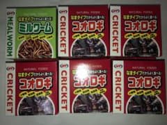 ✴︎豪華6缶セット！！ なまタイプ缶詰コオロギ&ミルワームナチュラルペットフーズのサムネイル