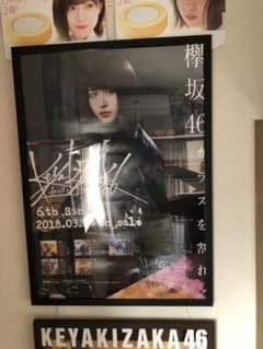 「けーてい様専用」欅坂46 長濱ねる ポスターセットのサムネイル