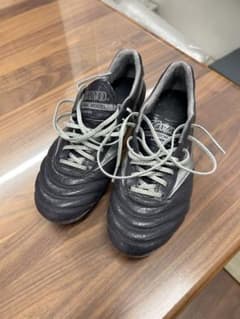 モレリアDNA 25.5のサムネイル