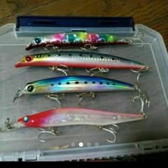 がぃ様サスケのサムネイル