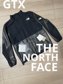 ゴアテックス デナリジャケット GTX DenaliJacket ノースフェイス 